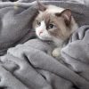 Grey Fleece Blanket