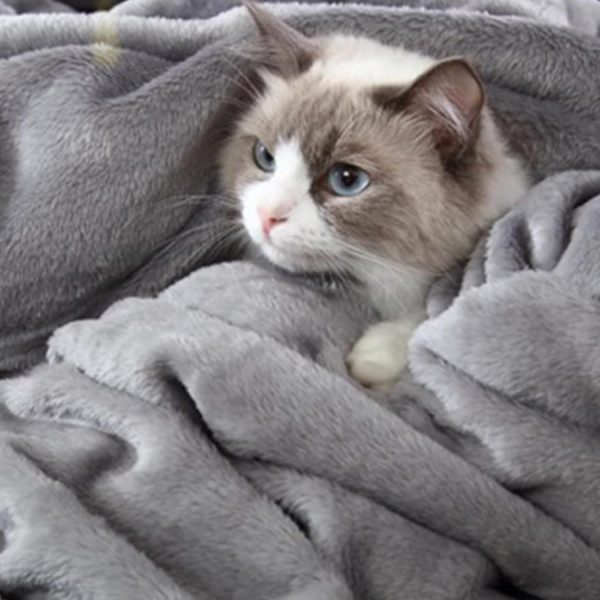 Grey Fleece Blanket