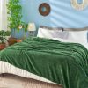 img-c273f5a0a97d0b1e13b0 Fleece Throw Blanket Green
